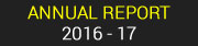 Annual Report Logo